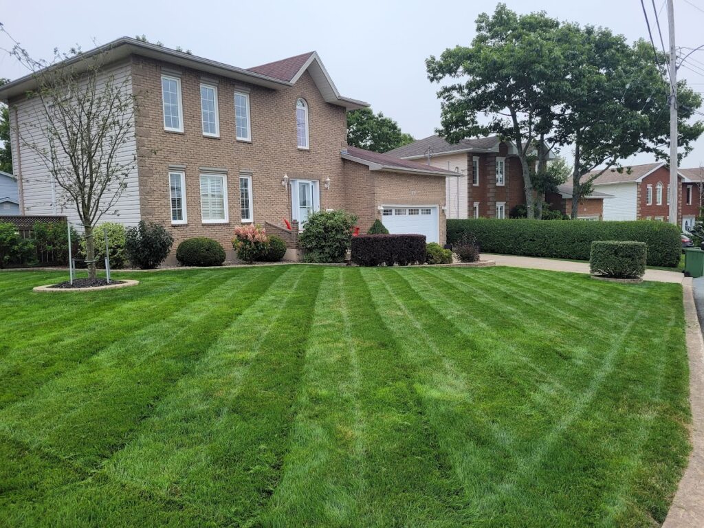 Greensprout Lawn Care